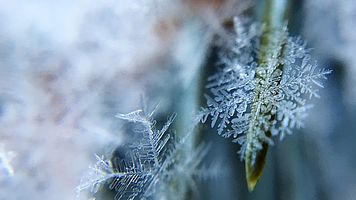 Frost kann zu Schäden führen