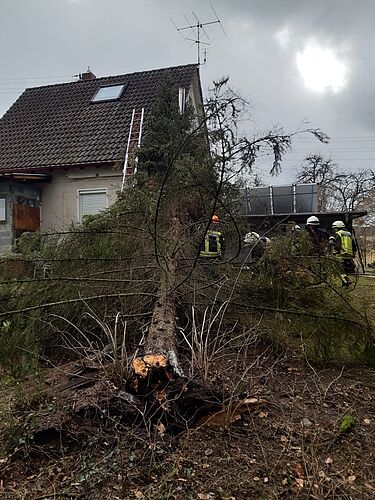 2020 | Einsatz Nr. 7 | Sturmtief Sabine