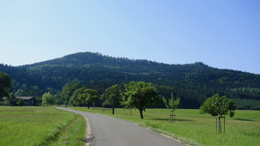 Oberhohenberg (aus Richtung Schörzingen betrachtet)