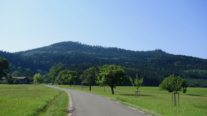 Oberhohenberg (aus Richtung Schörzingen betrachtet) Oberhohenberg (aus Richtung Schörzingen betrachtet)